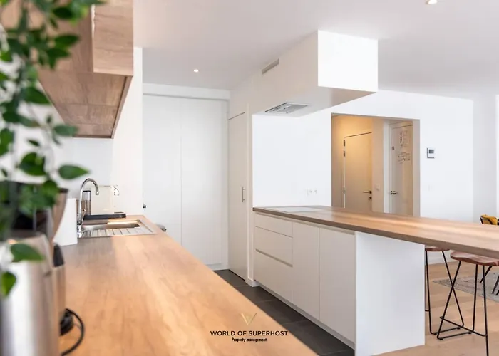 Rock & Roll Chic Near Appartement Ostende